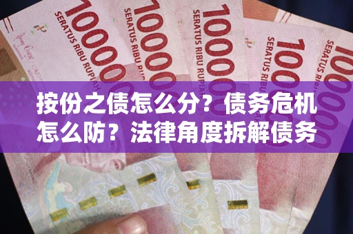 武汉按份之债怎么分？债务危机怎么防？法律角度拆解债务分配与风险自保指南