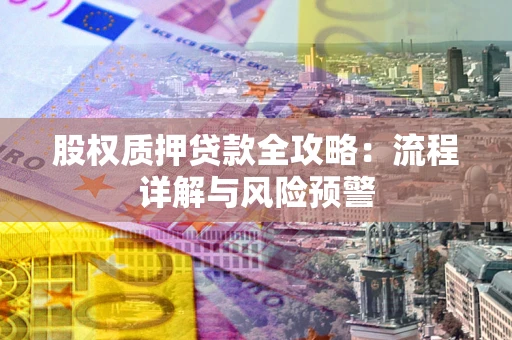 武汉股权质押贷款全攻略：流程详解与风险预警