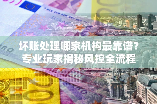 武汉坏账处理哪家机构最靠谱？专业玩家揭秘风控全流程