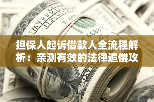 武汉担保人起诉借款人全流程解析：亲测有效的法律追偿攻略