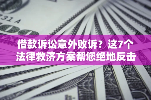 武汉借款诉讼意外败诉？这7个法律救济方案帮您绝地反击！