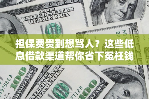 武汉担保费贵到想骂人？这些低息借款渠道帮你省下冤枉钱