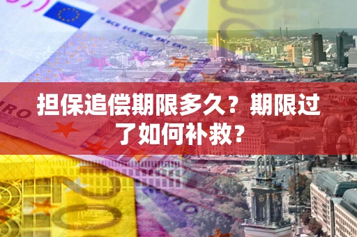 武汉担保追偿期限多久？期限过了如何补救？