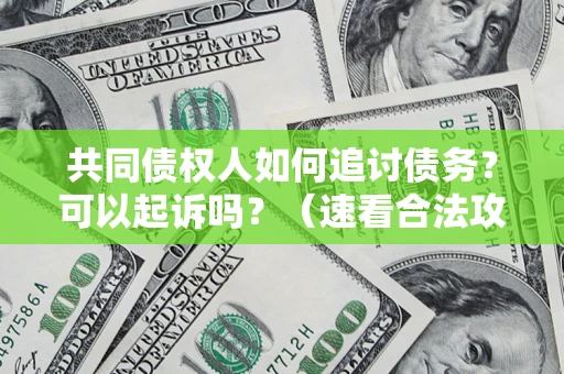 武汉共同债权人如何追讨债务？可以起诉吗？（速看合法攻略）