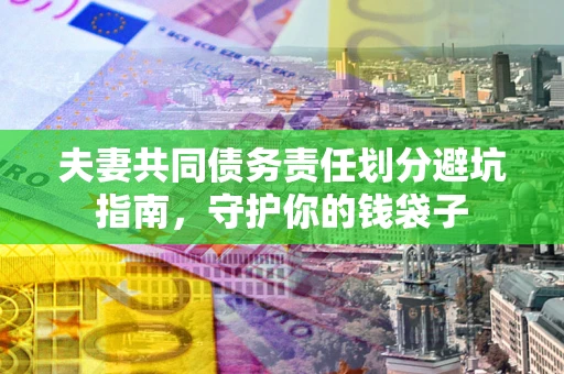 武汉夫妻共同债务责任划分避坑指南，守护你的钱袋子
