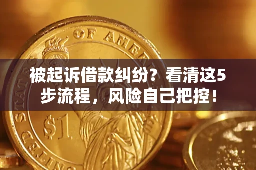 武汉被起诉借款纠纷？看清这5步流程，风险自己把控！