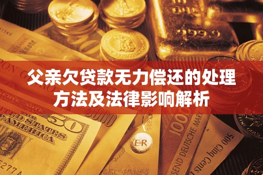武汉父亲欠贷款无力偿还的处理方法及法律影响解析