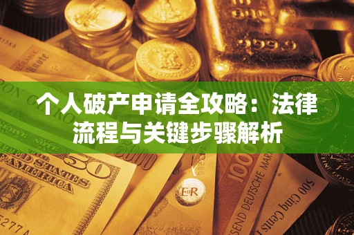 武汉个人破产申请全攻略：法律流程与关键步骤解析