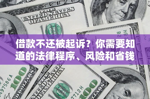 武汉借款不还被起诉？你需要知道的法律程序、风险和省钱技巧