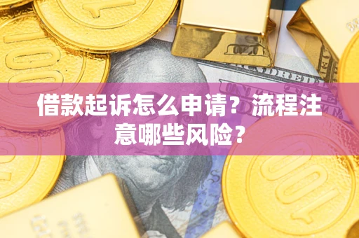 武汉借款起诉怎么申请？流程注意哪些风险？